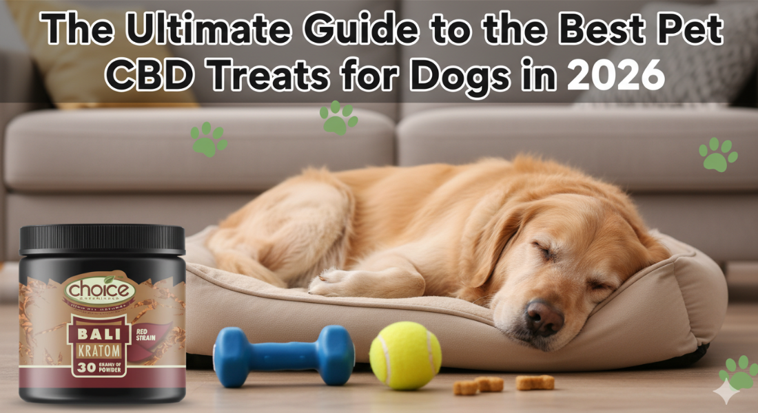 The Ultimate Guide to the Best Pet CBD Treats for Dogs in 2026